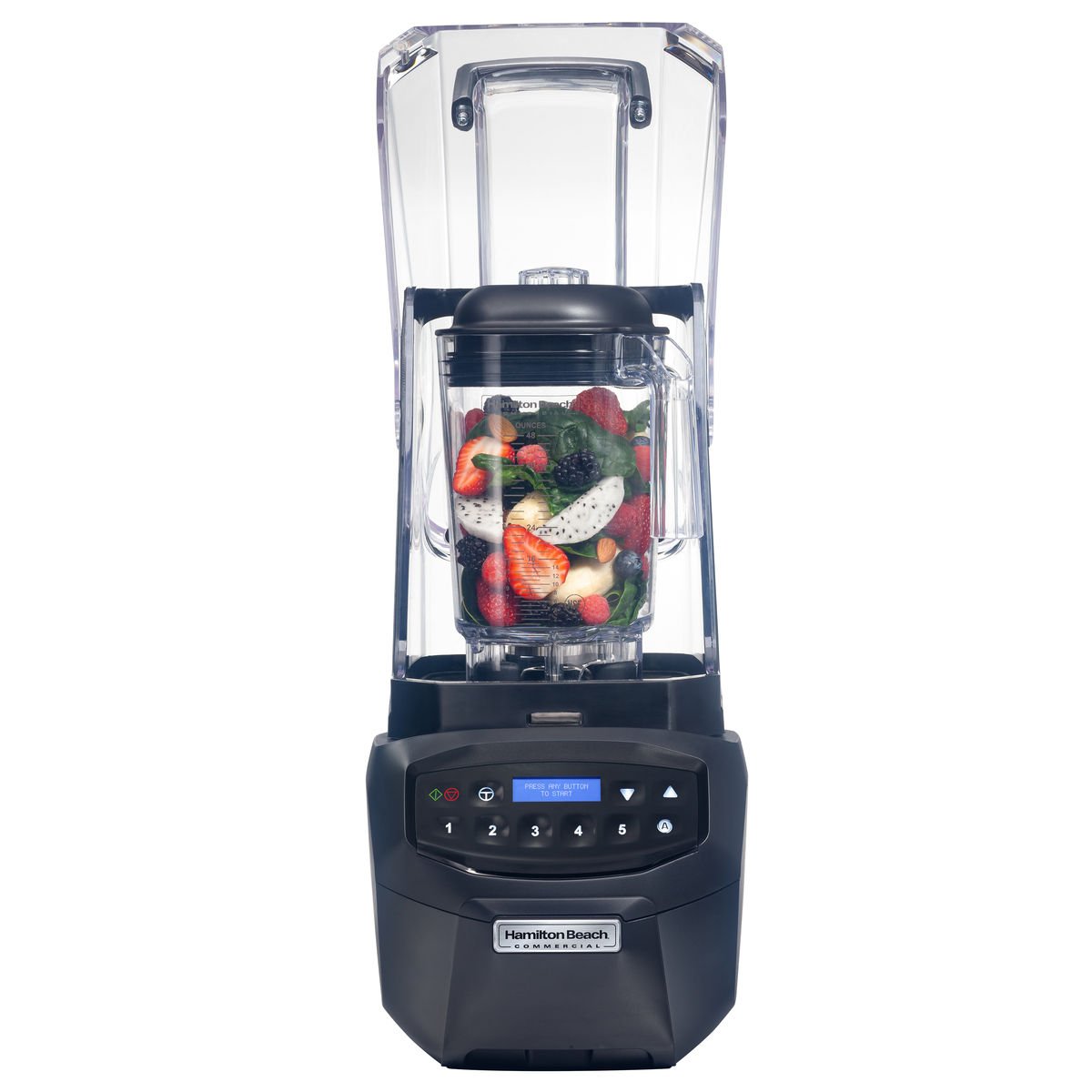 Hamilton Beach Summit Smoothie Blender | Love Struck